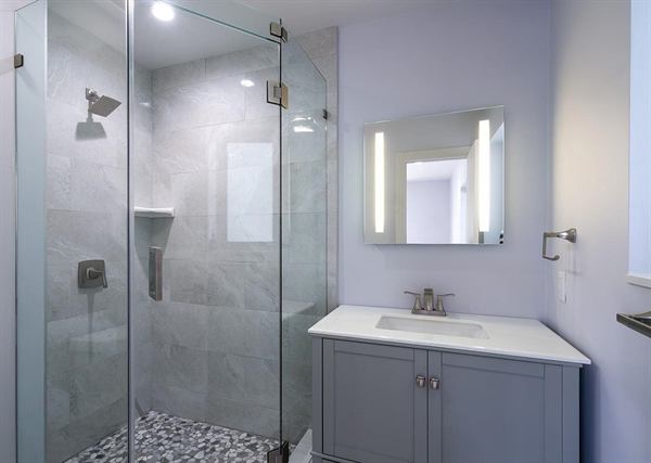 The Guest Bath